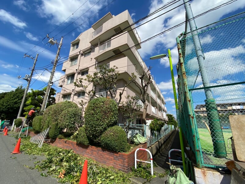 ハイネス尾山台