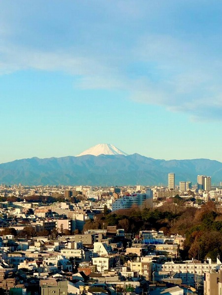 シティタワー目黒