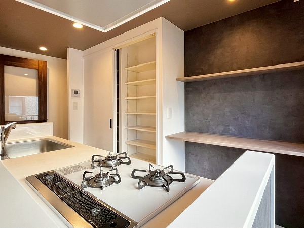 ドミール二子玉川_白基調のキッチンの写真2