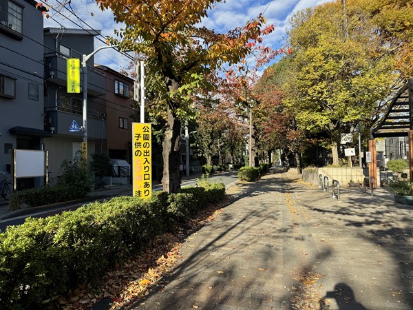 コスモ旗の台前の並木