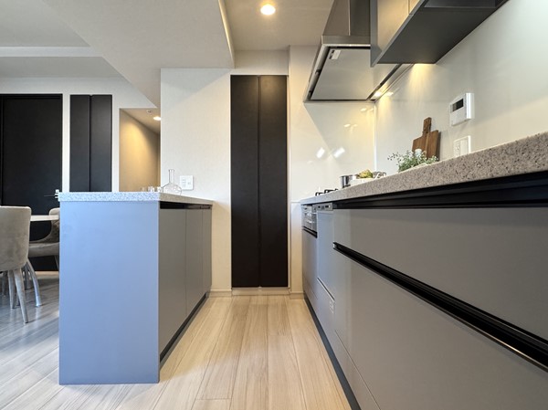 リビオレゾン新橋ネックス_システムキッチンの写真