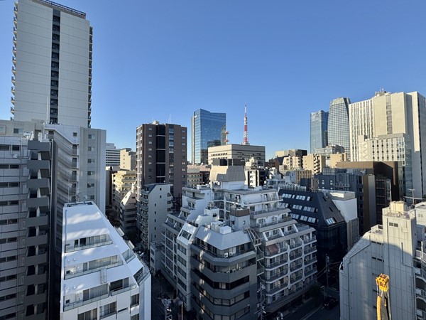 リビオレゾン新橋ネックス_眺望の写真