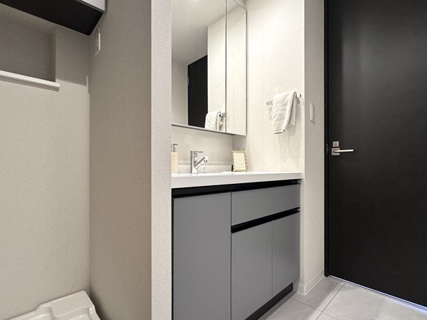 リビオレゾン新橋ネックス_洗面化粧台の写真