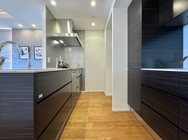 ザ・パークハウス渋谷南平台_システムキッチンの写真