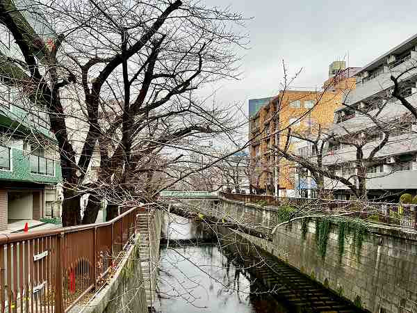 目黒川