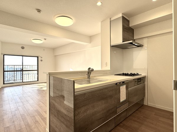 コアスターレ西大井_ペニンシュラキッチンの写真