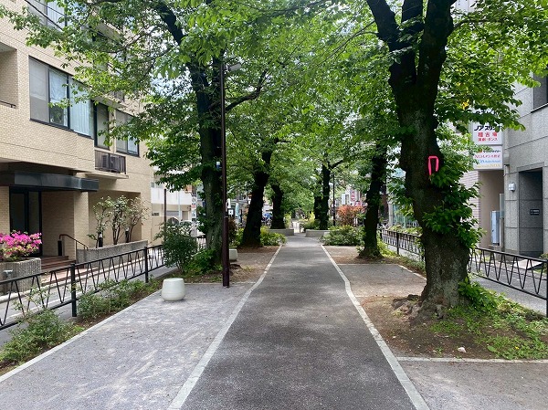 駅前の緑道