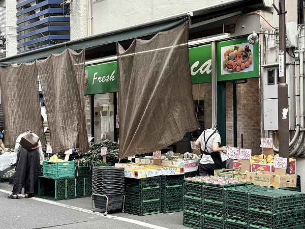 フレッシュランド フェルカ