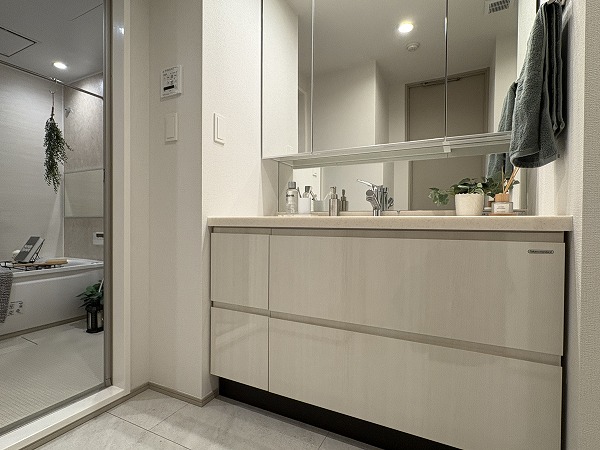 天王洲デュープレックス_清潔感のあるパウダールームの写真