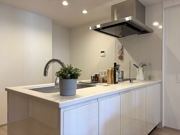 天王洲デュープレックス_キッチンの写真