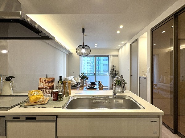 天王洲デュープレックス_キッチンの写真2