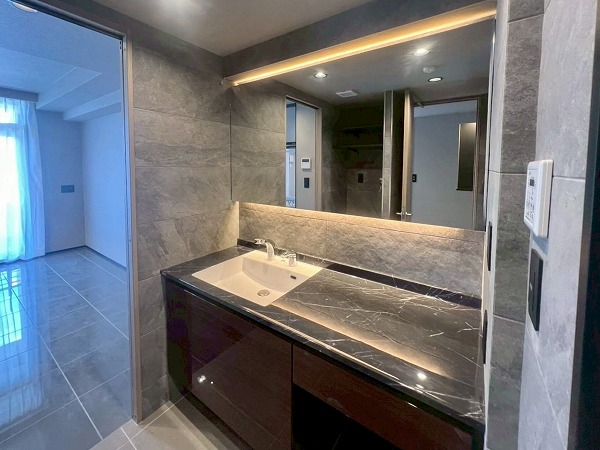 プライヴブルー東京_洗面化粧台の写真