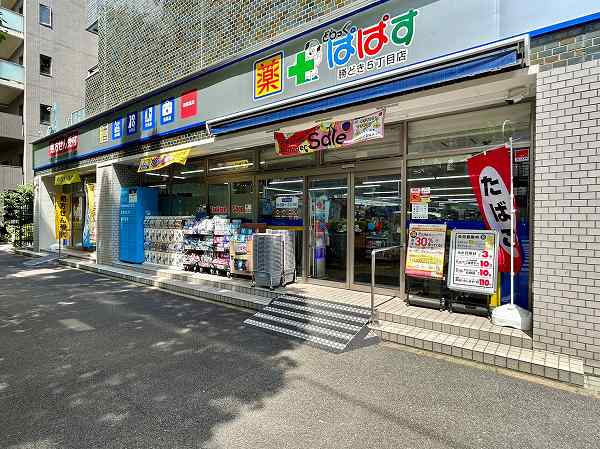 ドラッグストア　ぱぱす