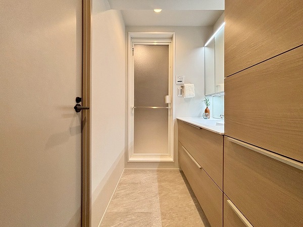 サンビューハイツ四番町_収納が多いパウダールームの写真