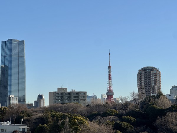 サンウッド広尾_バルコニーから見える東京タワーの写真