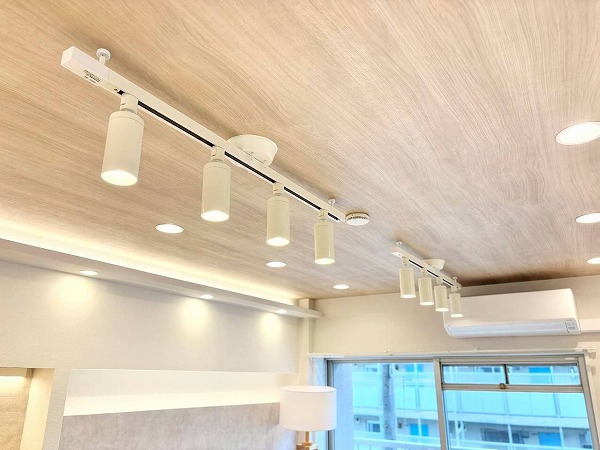 パールハイツ幡ヶ谷_ライティングレールの写真