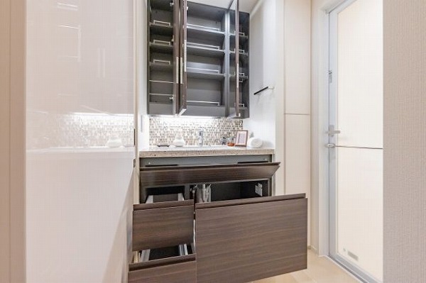 THE千代田麹町TOWER_収納が豊富な洗面化粧台の写真
