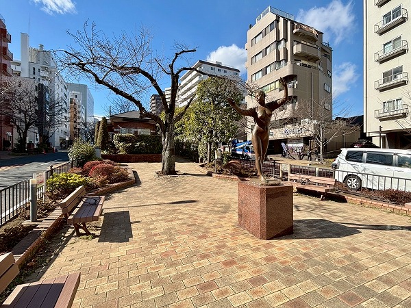 播磨坂さくら並木