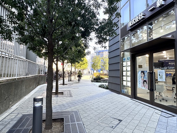 マンション前の木立