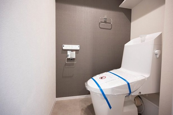 イトーピア南麻布マンション_お洒落なトイレの写真