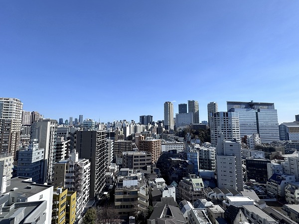 シティハウス目黒ザ・ツインSOUTH棟_眺望の写真