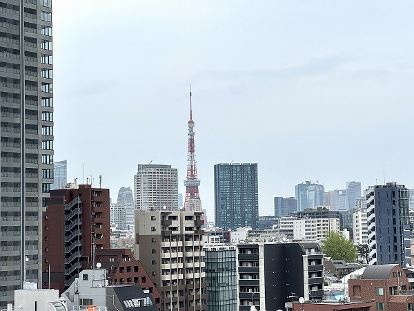 D'グランセ白金_東京タワービューの写真