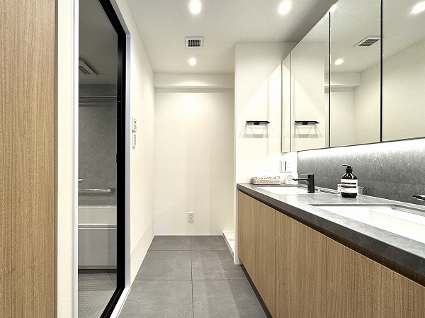 スカイプラザ赤坂_洗面室の写真