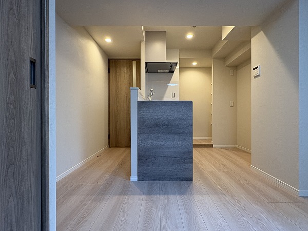 セザール大森本町_リビングダイニングキッチンの写真2