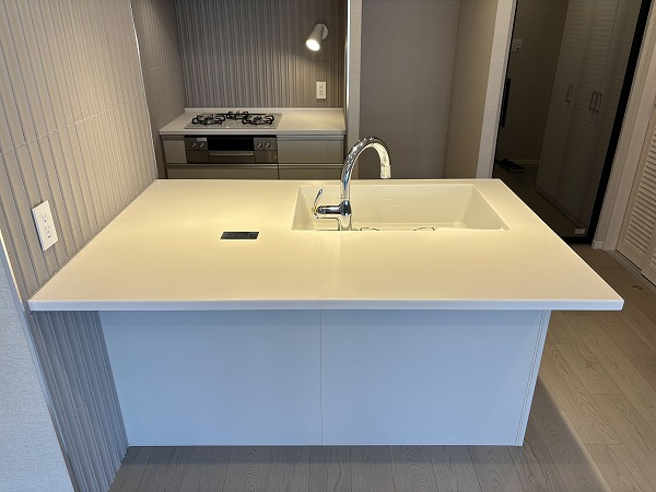 ドミール高輪_リノベーション済みのキッチンの写真3