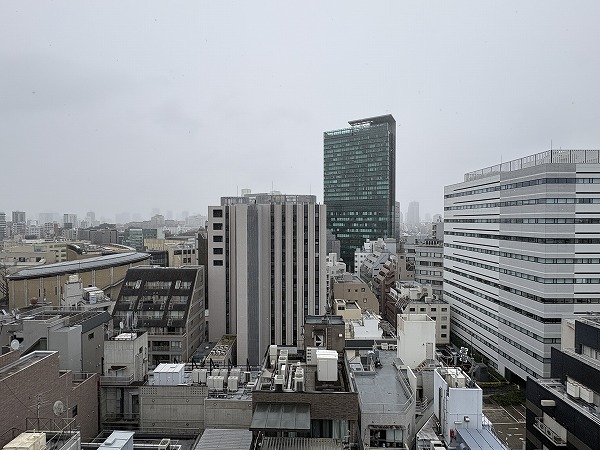 グランリビオ表参道_リビングダイニングキッチンバルコニー眺望の写真