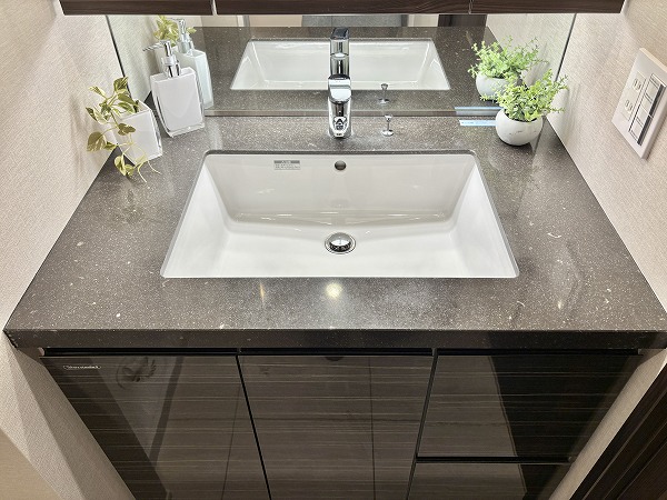 オープンレジデンシア小石川播磨坂_石調デザインの洗面化粧台の写真