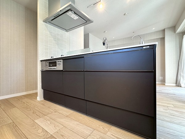 南馬込セントラルパレス_システムキッチンの写真