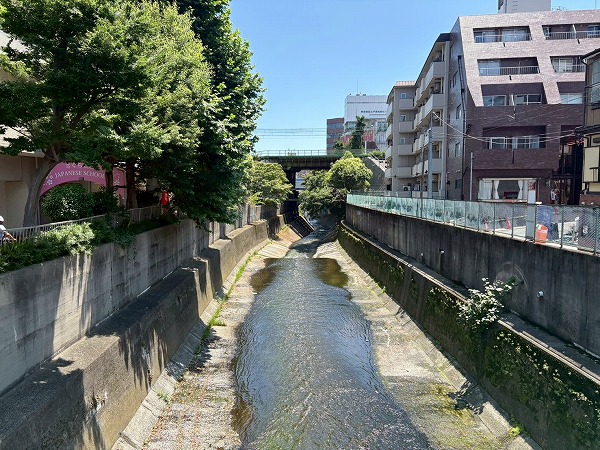 高田馬場ダイヤモンドマンション_神田川の写真