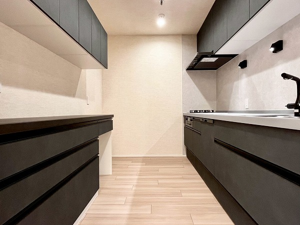 世田谷弦巻ハイム_おしゃれなキッチンの写真