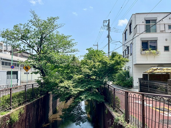 近くの川沿いの様子