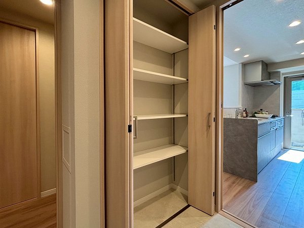 パークアベニュー芦花公園壱番館_収納が多いパウダールームの写真