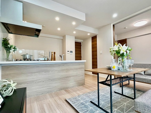 エクセレントシティ白金高輪_リビングダイニングキッチンの写真3