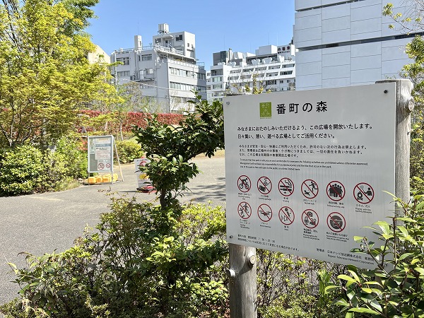番町の森