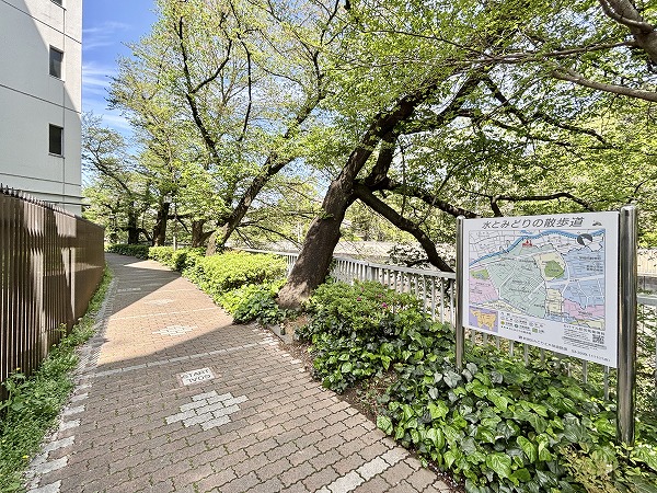 神田川沿いの遊歩道