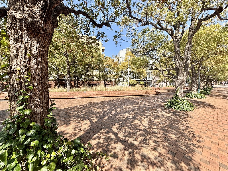 恵比寿ガーデンプレイス周辺