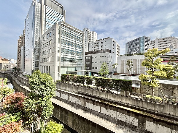 朝日広尾マンション_南東向きのお部屋の写真