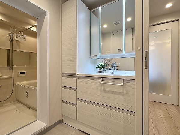 秀和代官山レジデンス_3面鏡化粧洗面台の写真