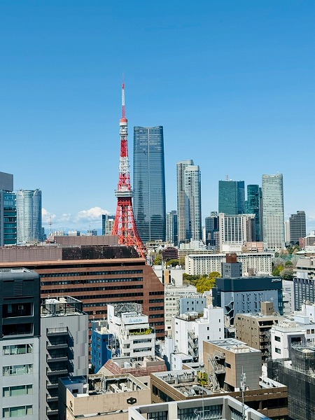 ワールドタワーレジデンス_景色の写真