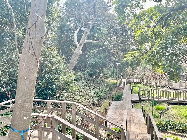 世田谷区立上野毛自然公園