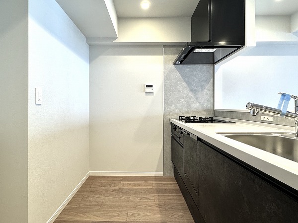 南雪谷ハイデンス_システムキッチンの写真
