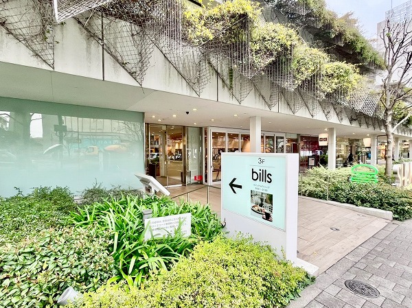 マロニエコート