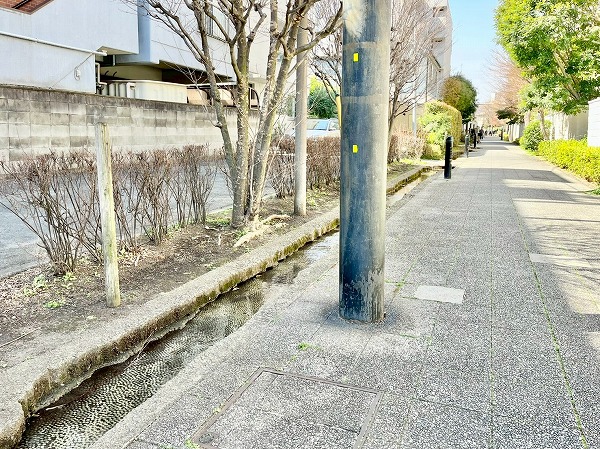 『ライオンズマンション弦巻グランフォート』付近の様子1