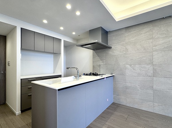 リビオ目黒リバーサウス_グレーの対面キッチンの写真