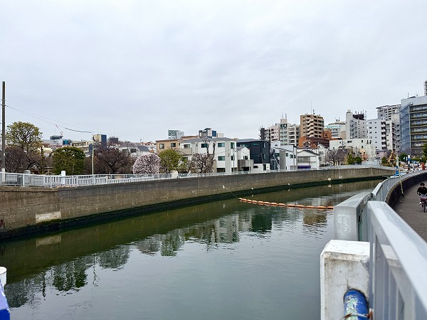 呑川