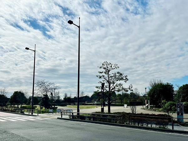 世田谷区立二子玉川公園